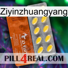 Ziyinzhuangyang 42